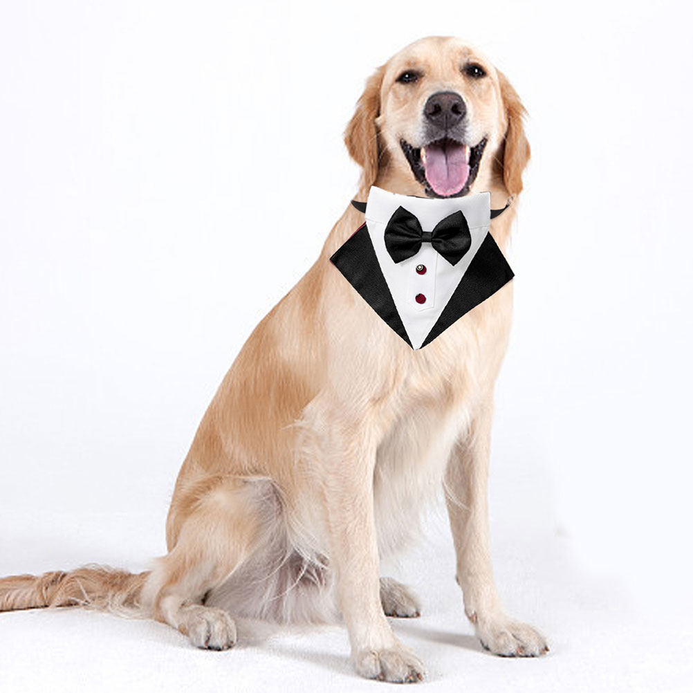 1 Set Completo per Cani con Ba - Suitsupply Wedding Tuxedo recensione e prezzo